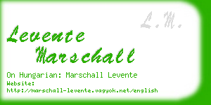 levente marschall business card